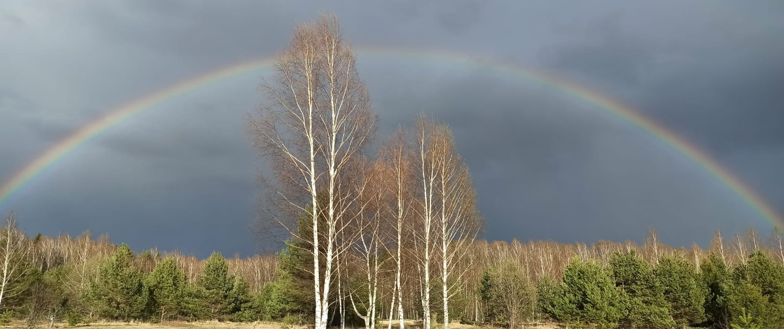 Заголовок
